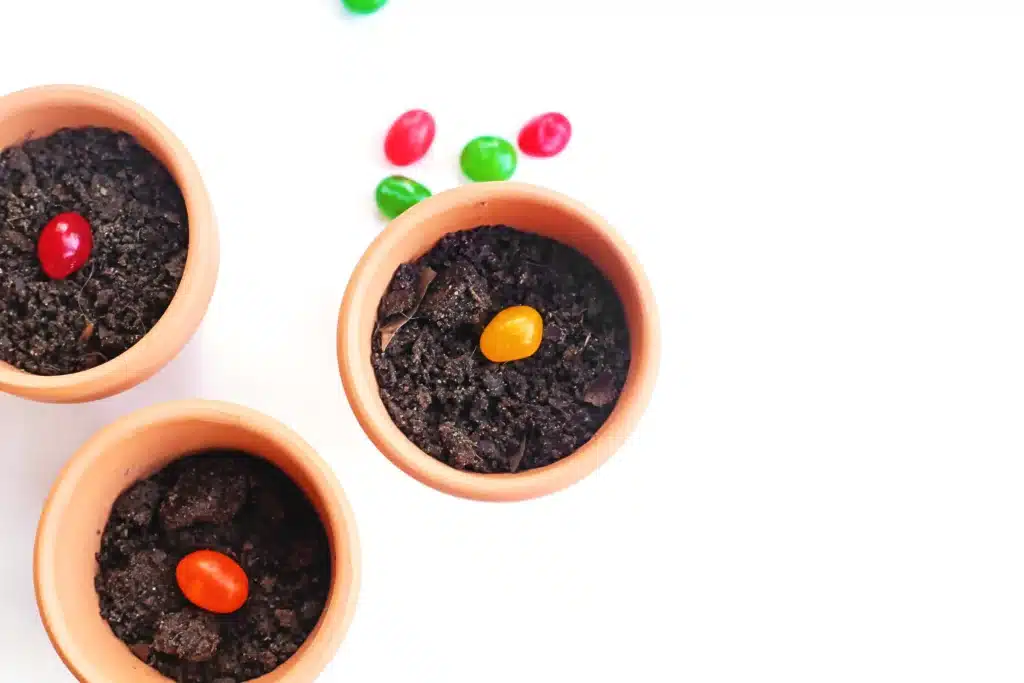 Magic Jelly Bean Easter activity for kids - Cultivating Brilliant Minds a jellybean inside a pot of soil