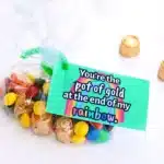 St Patrick's Day Favor Tags - Cultivating Brilliant Minds a bag of candy with a tag attached that says "You're the pot of gold at the end of my rainbow"
