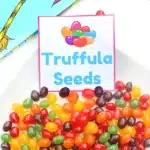 jelly beans with a printable that reads "truffula seeds"