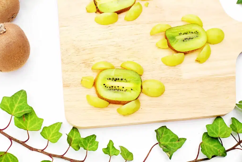 Yertle the Turtle Fruit - Cultivating Brilliant Minds Yertle the Turtle Fruit that has a cut kiwi and grapes arranged to look like a turtle