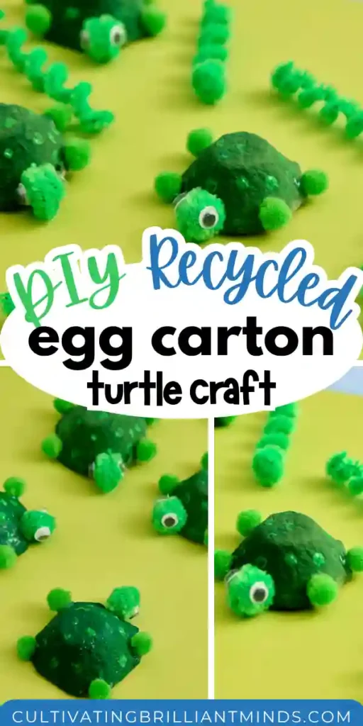 Egg Carton Turtle Craft - Cultivating Brilliant Minds egg cartons cut and painted green to look like turtles