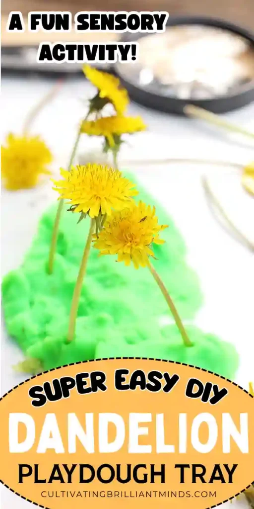 dandelions in green playdough