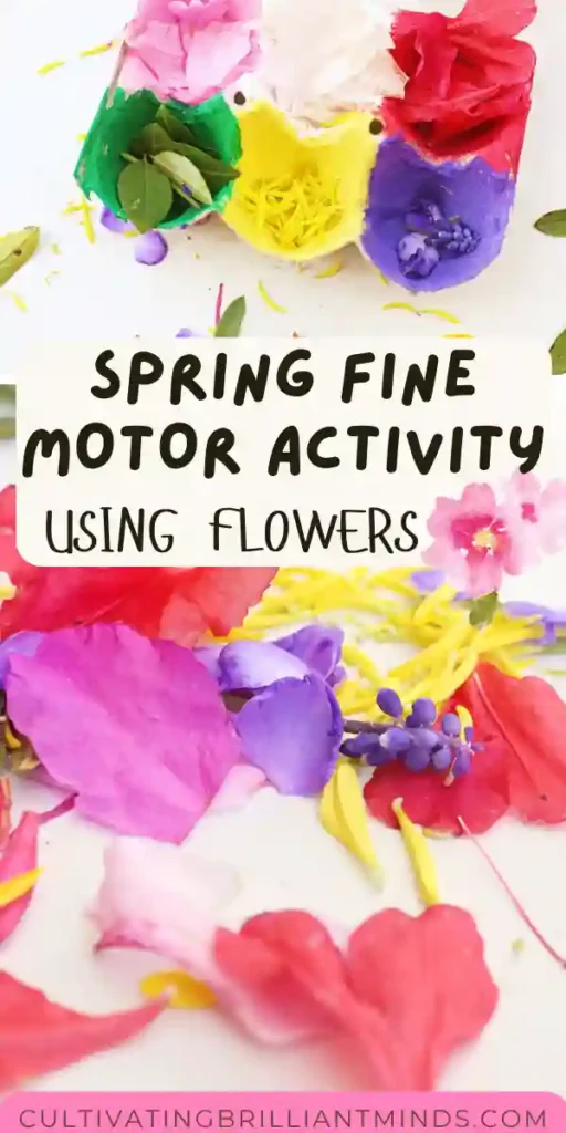 Spring Flower Fine Motor Activity - Cultivating Brilliant Minds a spring flower fine motor activity that has an egg carton painted different colors with the same color flowers inside