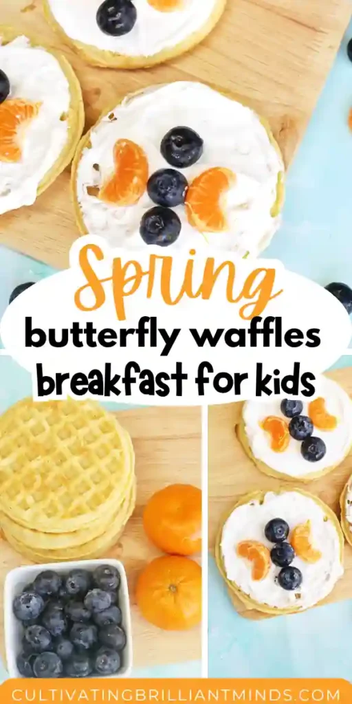 Butterfly Garden Waffles: A Spring Breakfast Idea For Kids - Cultivating Brilliant Minds waffles with whipped cream and blueberries and oranges arranged to look like a butterfly