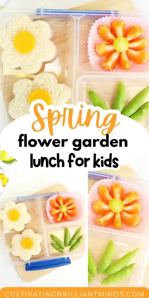 Flower Garden Lunch - Cultivating Brilliant Minds a spring lunch idea for kids that has a sandwich, fruits, and veggies in the shape of flowers