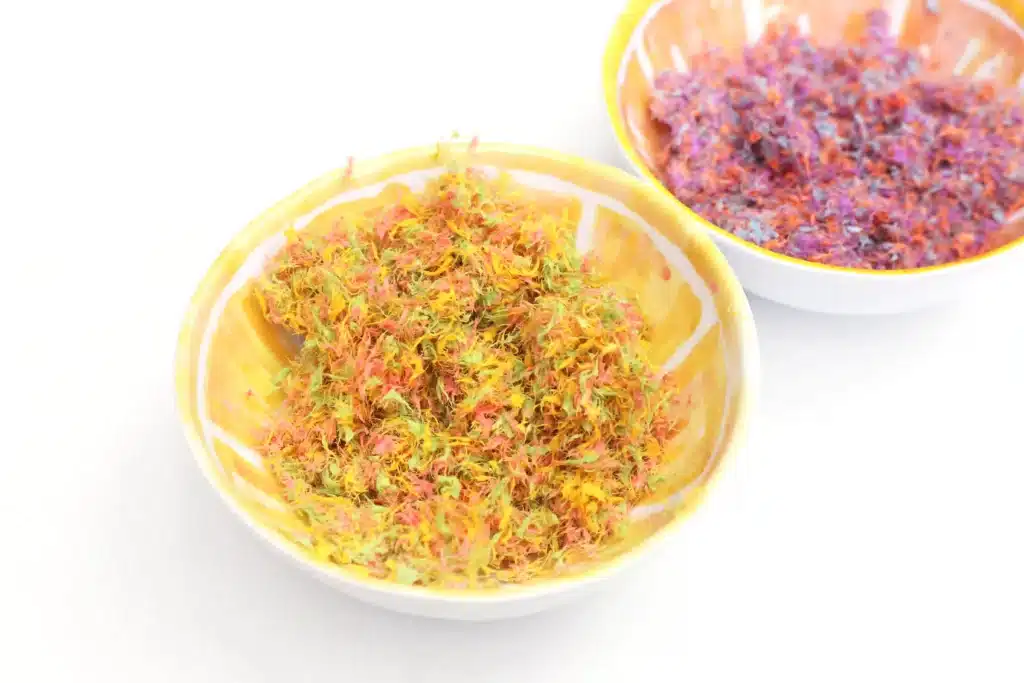 DIY Easter Egg Seed Bombs - Cultivating Brilliant Minds construction paper that was soaked in water and blended