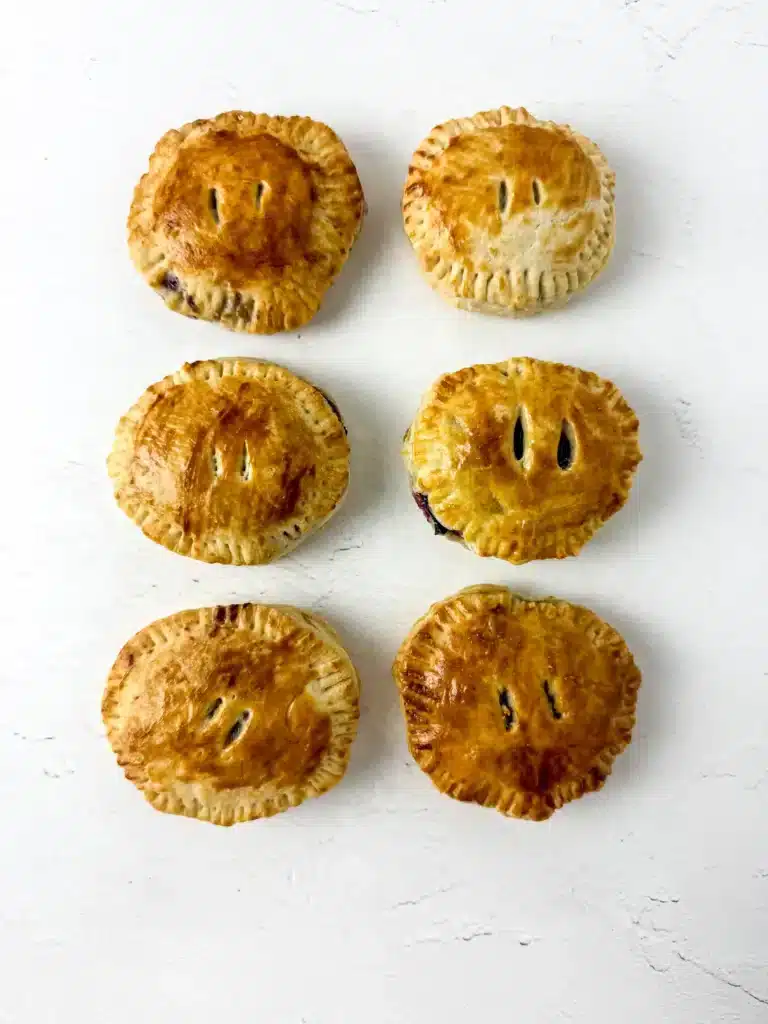 Blueberry Earth Day Hand Pies - Cultivating Brilliant Minds blueberry hand pies