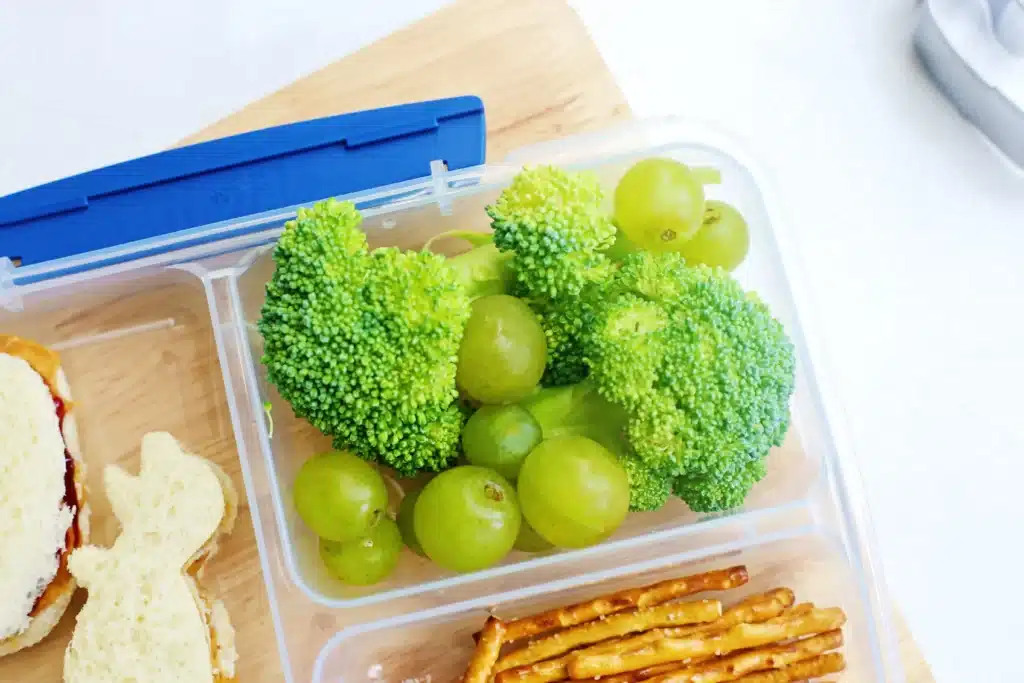 Dinosaur Lunch Idea - Cultivating Brilliant Minds broccoli and grapes in a lunchbox