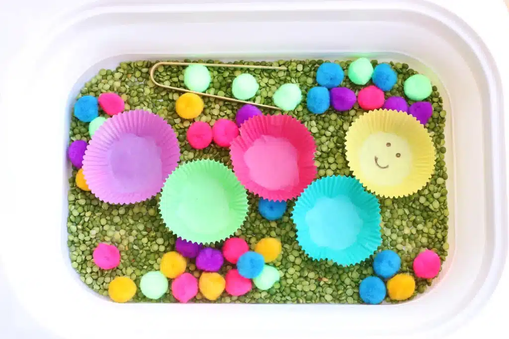 Caterpillar Color Sorting Sensory Bin - Cultivating Brilliant Minds a sensory bin with green split peas, colored cupcale liners, and pom poms