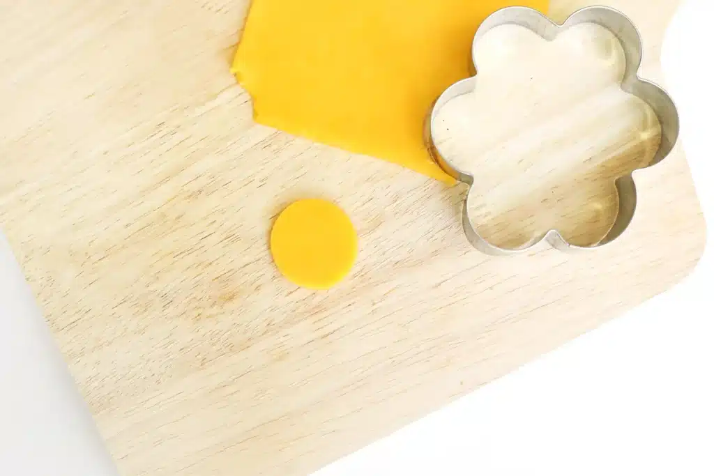 Flower Garden Lunch - Cultivating Brilliant Minds cheese cut into a circle and