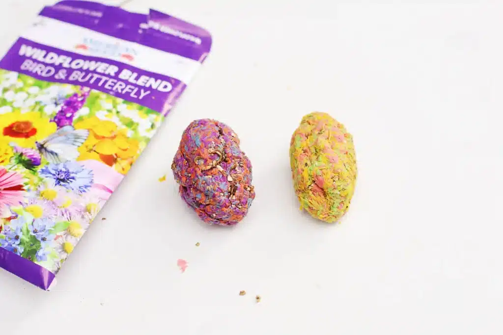 DIY Easter Egg Seed Bombs - Cultivating Brilliant Minds seeds andconstruction paper that was soaked in water and blended shaped into eggs