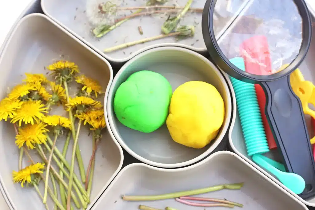 Dandelion Playdough Tray - Cultivating Brilliant Minds supplies for the dandelion playdough tray