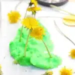 Dandelion Playdough Tray - Cultivating Brilliant Minds dandelions in green playdough