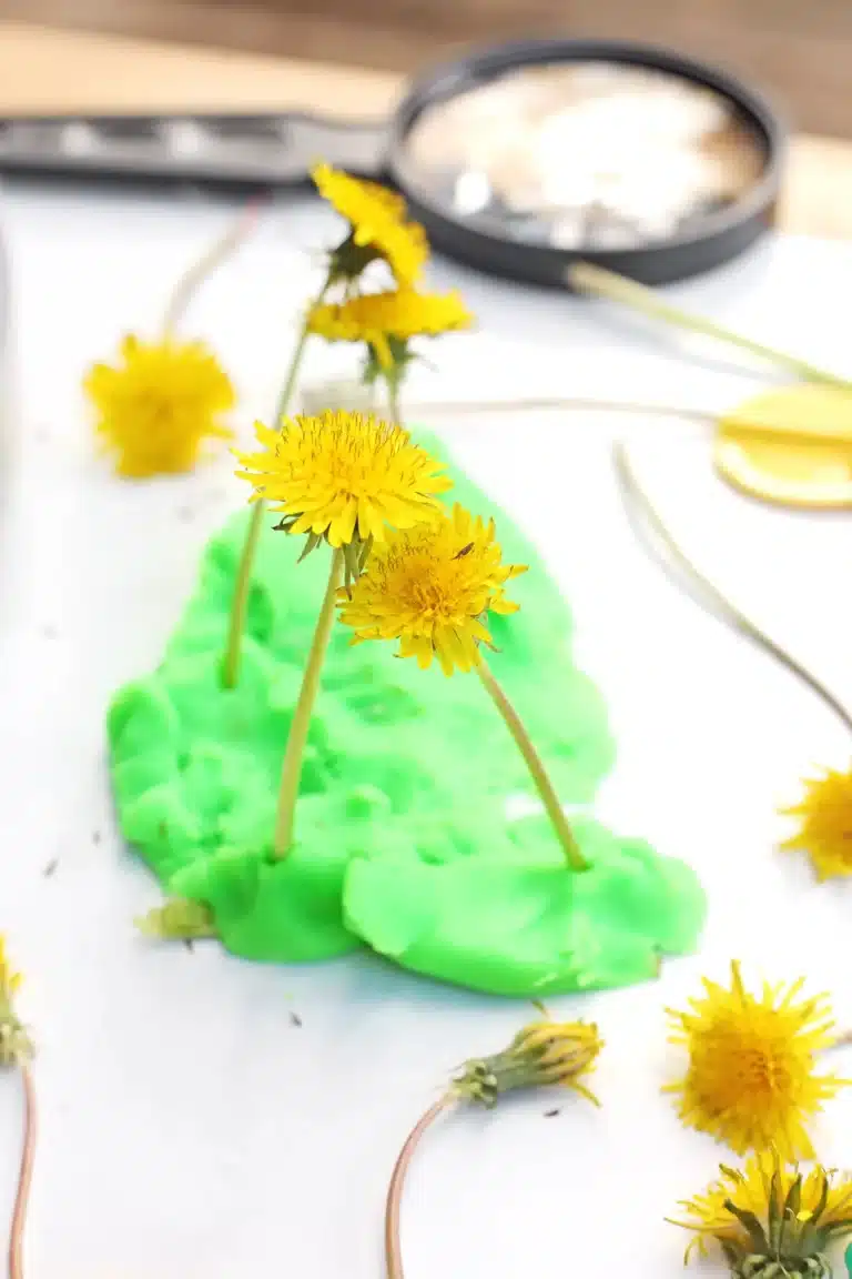 dandelions in green playdough