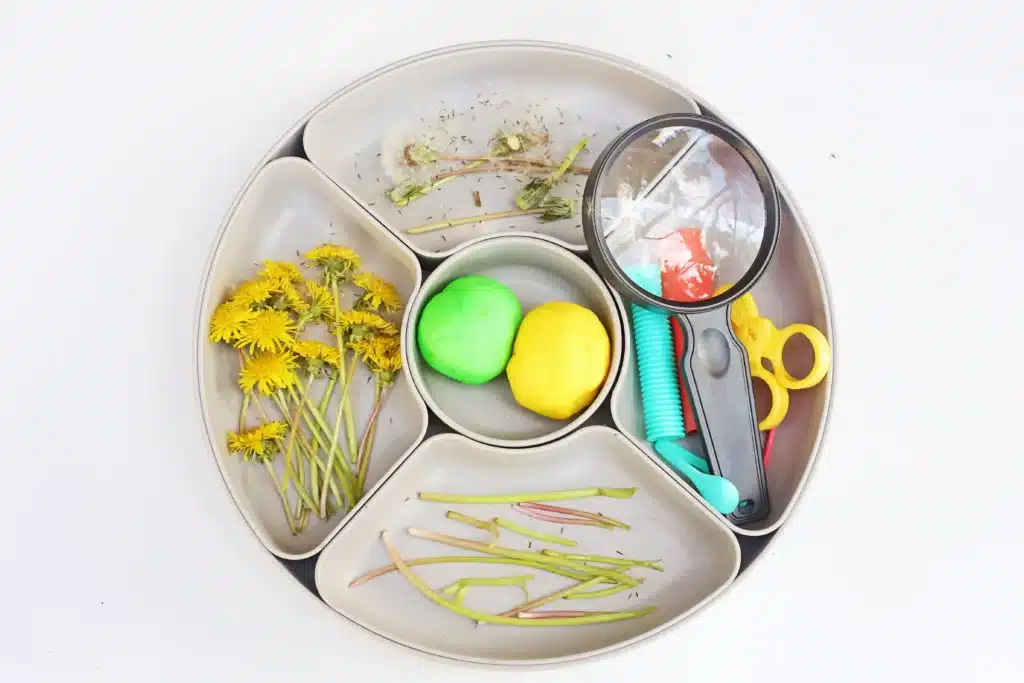Dandelion Playdough Tray - Cultivating Brilliant Minds supplies for the dandelion playdough tray