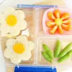 Flower Garden Lunch - Cultivating Brilliant Minds a spring lunch idea for kids that has a sandwich, fruits, and veggies in the shape of flowers
