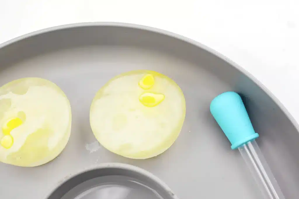 Frozen Chick Rescue Activity - Cultivating Brilliant Minds chicks frozen in water