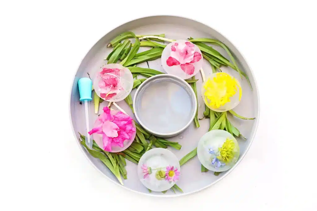 Frozen Flowers Sensory Activity - Cultivating Brilliant Minds a tray with water, flower stems, and frozen flower petals in ice