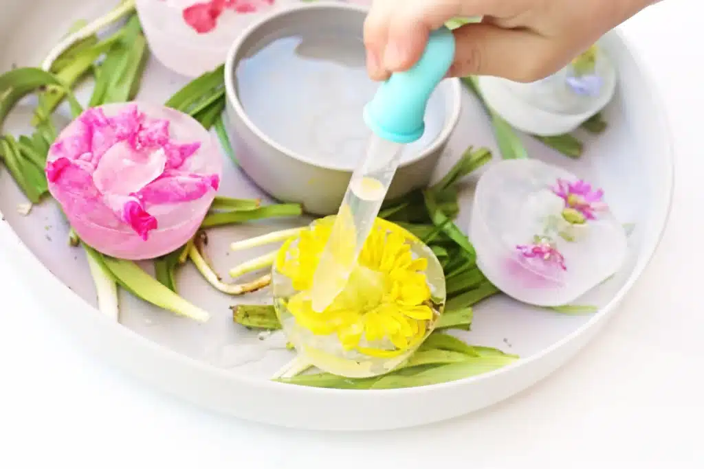 Frozen Flowers Sensory Activity - Cultivating Brilliant Minds a kid using a pipette to drop warm water into frozen flowers