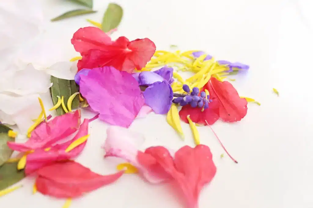 Spring Flower Fine Motor Activity - Cultivating Brilliant Minds flower petals on a table that will be used for the spring sensory play idea