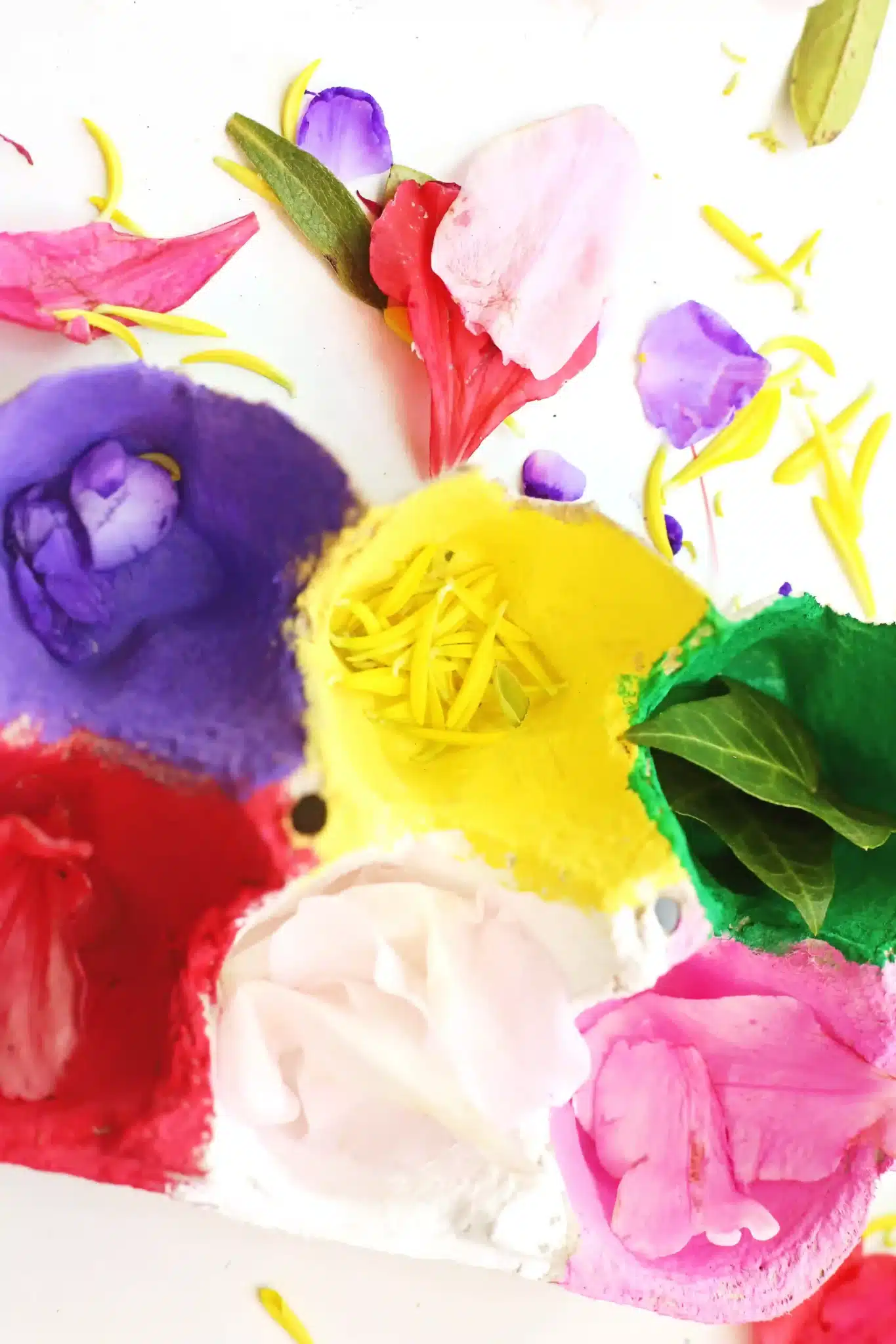 a spring flower fine motor activity that has an egg carton painted different colors with the same color flowers inside