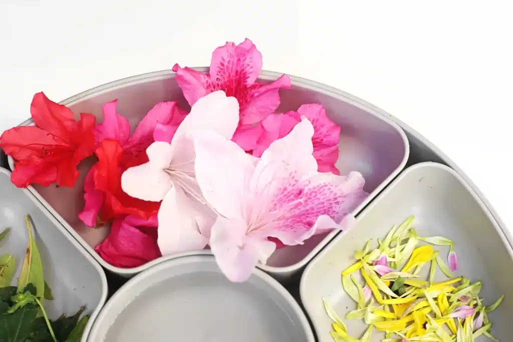 Spring Flowers Potion Sensory Activity - Cultivating Brilliant Minds flowers separated in a tray