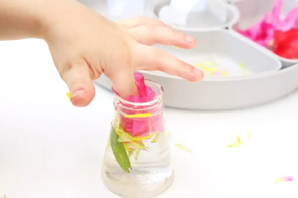 Spring Flowers Potion Sensory Activity - Cultivating Brilliant Minds a kid putting flowers in a jar with water