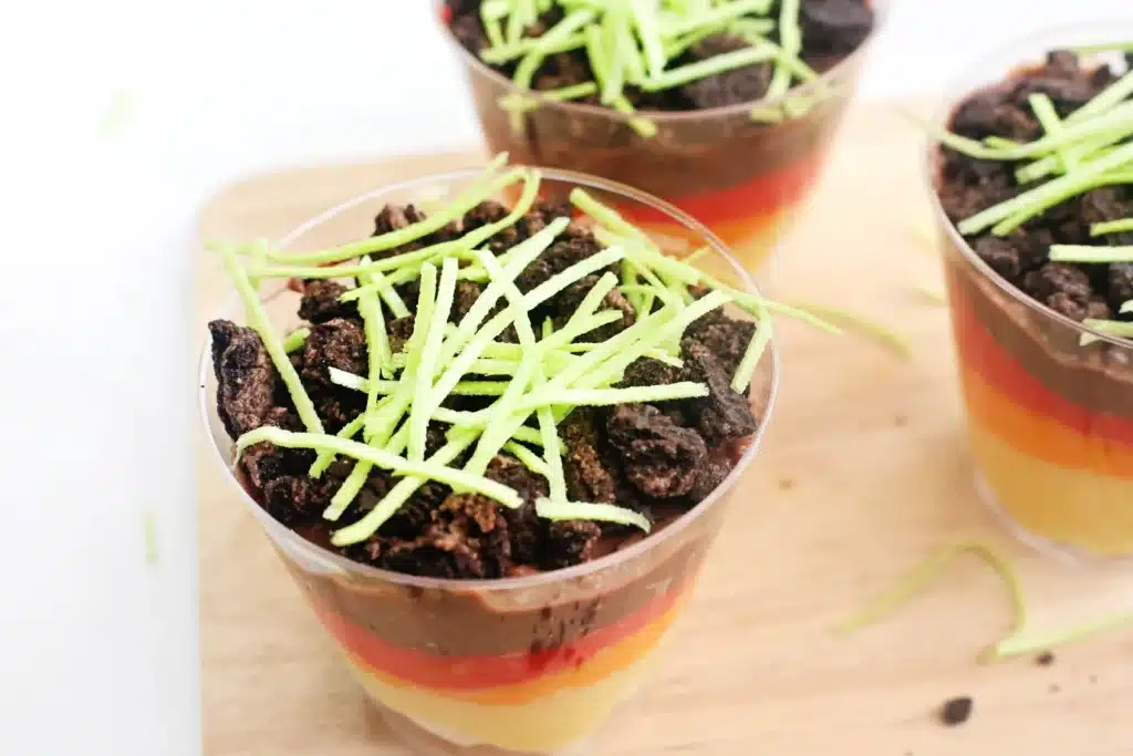 Layer of the Earth Pudding Cup - Cultivating Brilliant Minds a layer of Earth pudding cup with the different layers of earth shown with different colored puddings