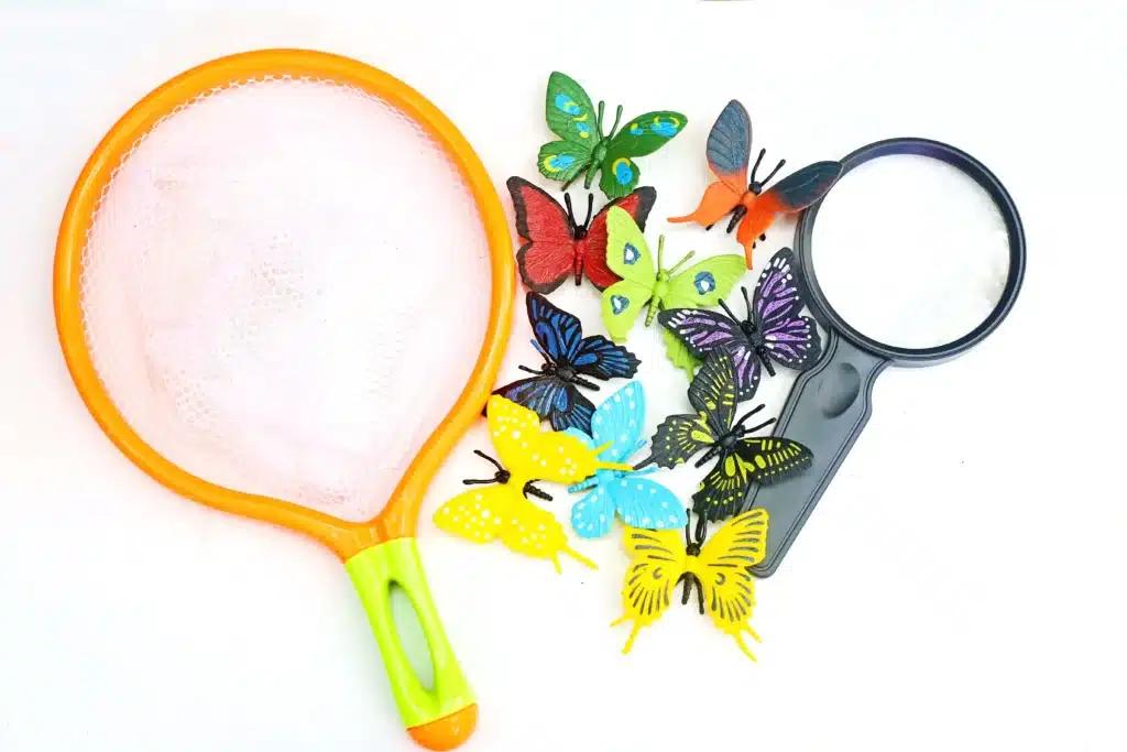 Backyard Butterfly Hunt - Cultivating Brilliant Minds a butterfly net, fake butterflies, and magnifying glass