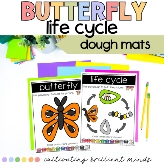 Butterfly Life Cycle Dough Mats