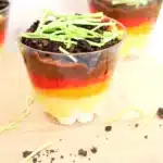 Layer of the Earth Pudding Cup - Cultivating Brilliant Minds a layer of Earth pudding cup with the different layers of earth
