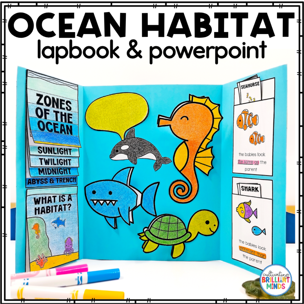 a lapbook that teaches about ocean habitats