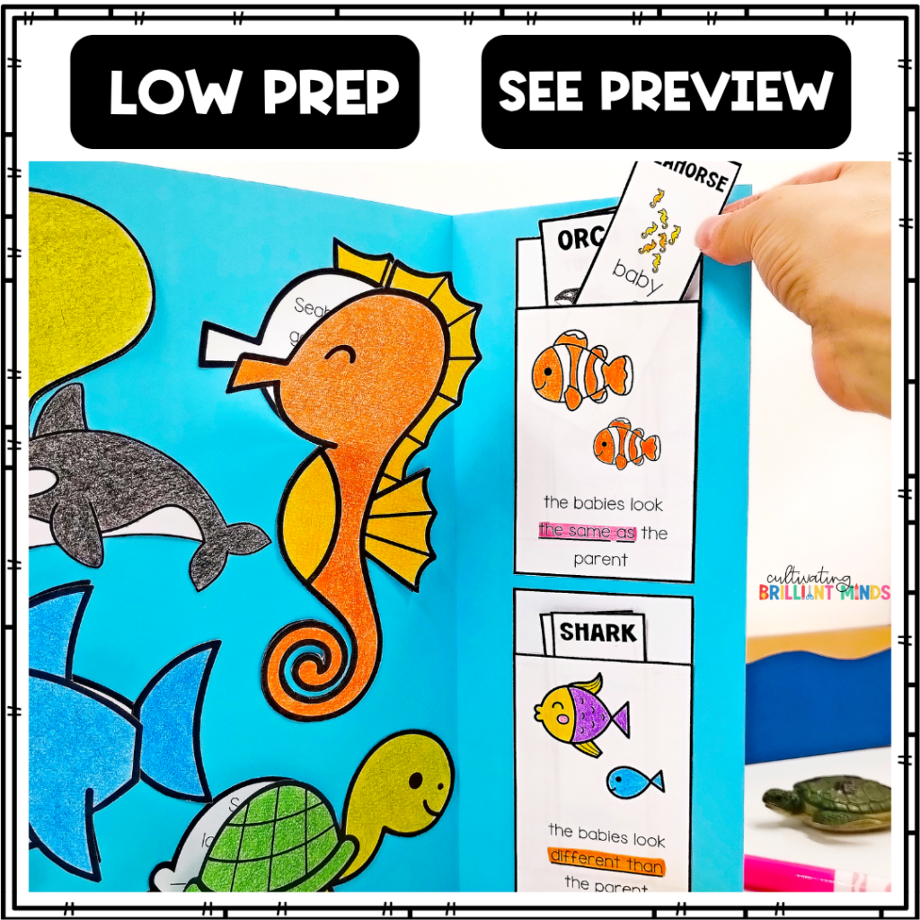 a lapbook that teaches about ocean habitats