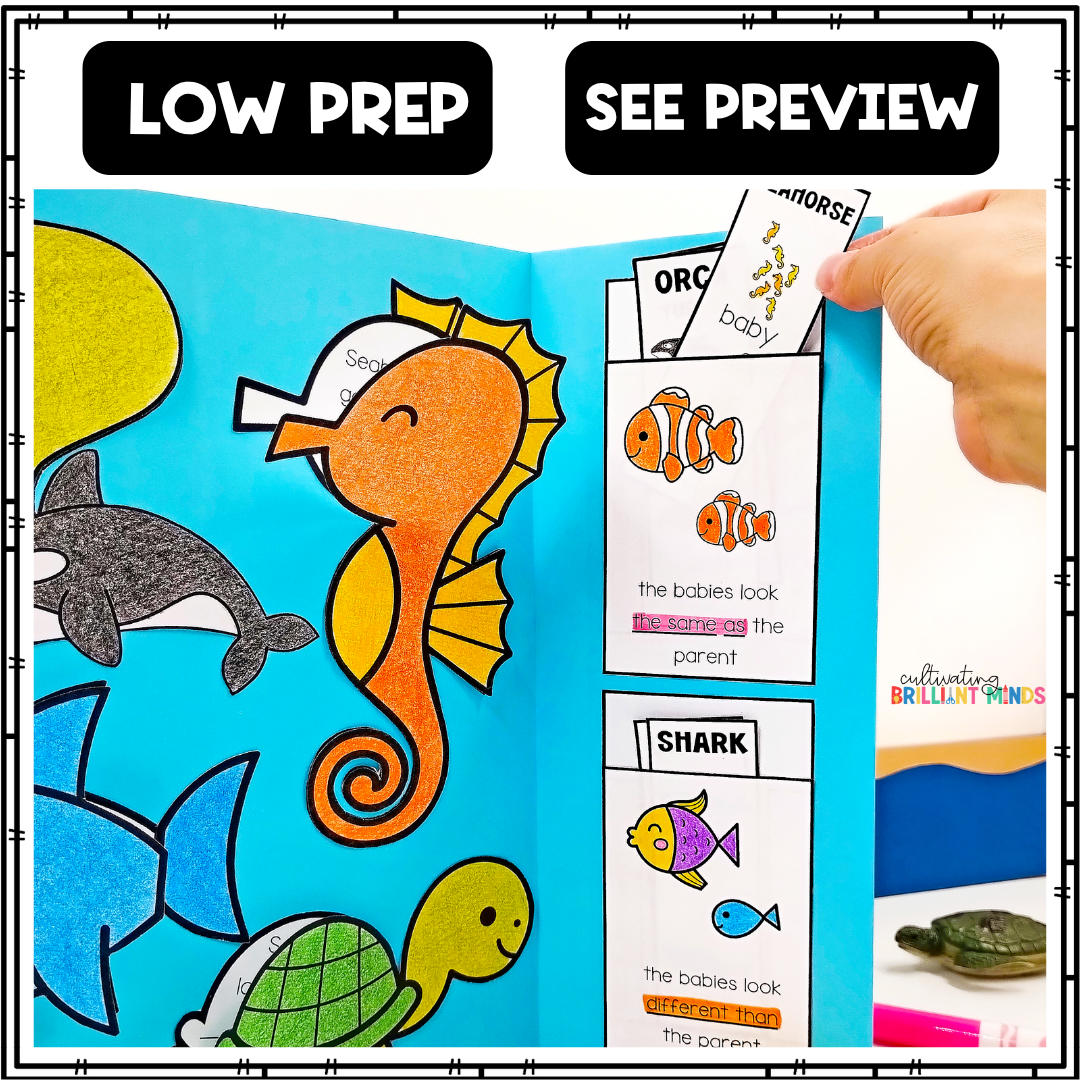 a lapbook that teaches about ocean habitats