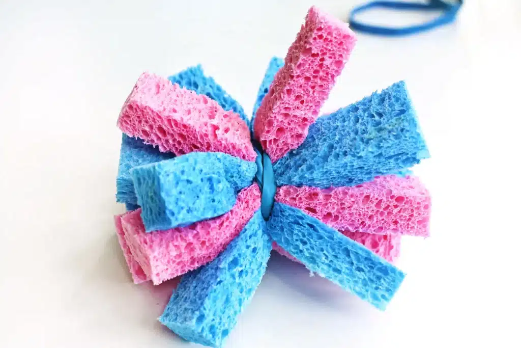 DIY Sponge Toss - Cultivating Brilliant Minds Colorful pink and blue kitchen sponges tied with a blue rubber band and arranged in a radial starburst on a white surface.