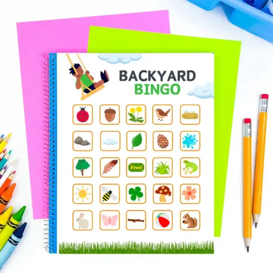 a bingo card that has backyard nature items on it, like a ladybug and a rock.