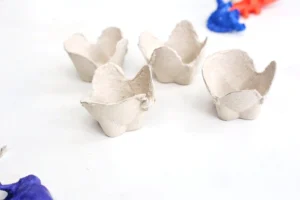 cardboard egg carton with the cups cut apart