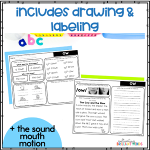 decodable diphthong ow reading passages with comprehension questions