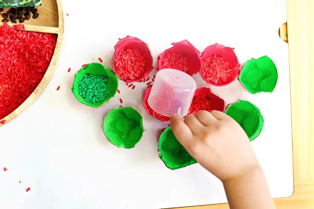 Egg Carton Watermelon Fine Motor Activity - Cultivating Brilliant Minds Child uses a cup to scoop red rice into red eggshell cups with green bases on a white tabletop.