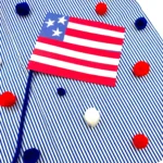 an american flag craft made out of construction paper with a pipe cleaner pole on a blue and white striped background with red, white, and blue pom poms scattered around