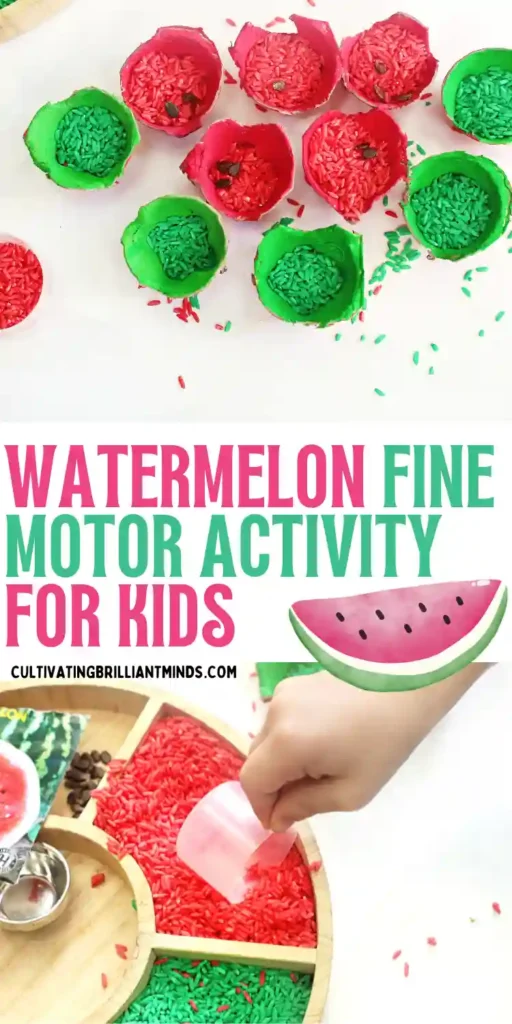 Egg Carton Watermelon Fine Motor Activity - Cultivating Brilliant Minds An Egg Carton Watermelon Fine Motor Activity that uses red and green painted egg cartons and red and green dyed rice