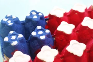 Close-up of a blue and red painted egg carton resembling an american flag