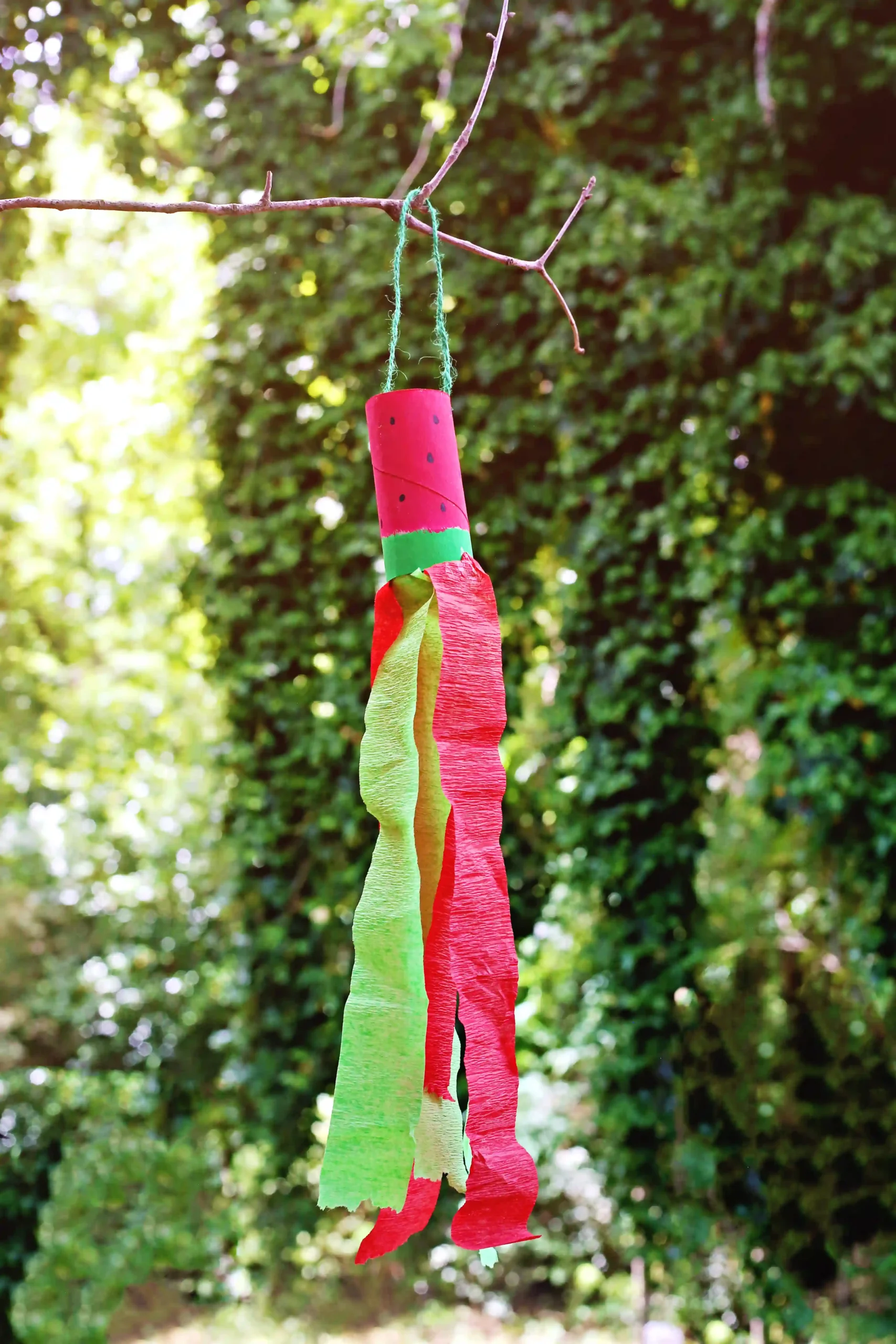 a watermelon windsock that has a toilet paper roll painted like toa watermelon and red and green streamers