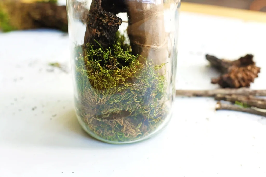 Close-up of a glass jar terrarium filled with moss and soil on a white surface.
