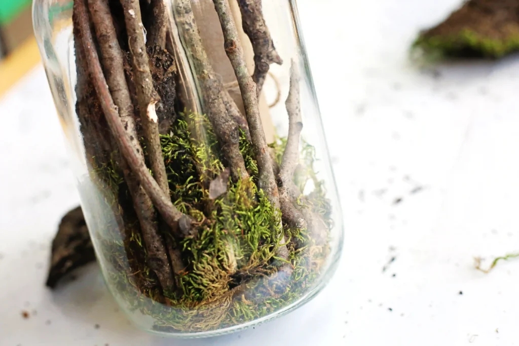 Close-up of a glass jar filled with thin branches and green moss, creating a small terrarium look.