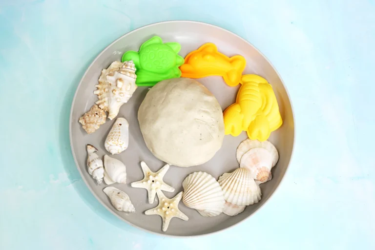 Plate featuring assorted seashells and a smooth beige stone, plus bright silicone cookie cutters in green turtle and yellow lobster on a pale blue background.