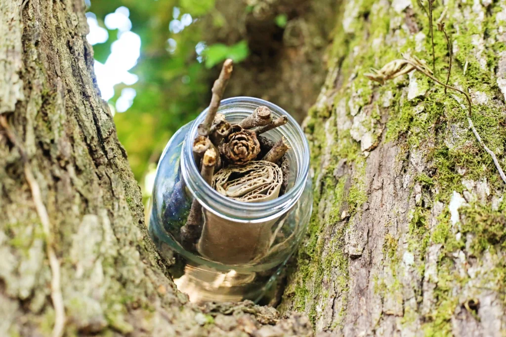 a DIY Bug Hotel In A Jar with moss, sticks, and cardboard in a jar place in a tree
