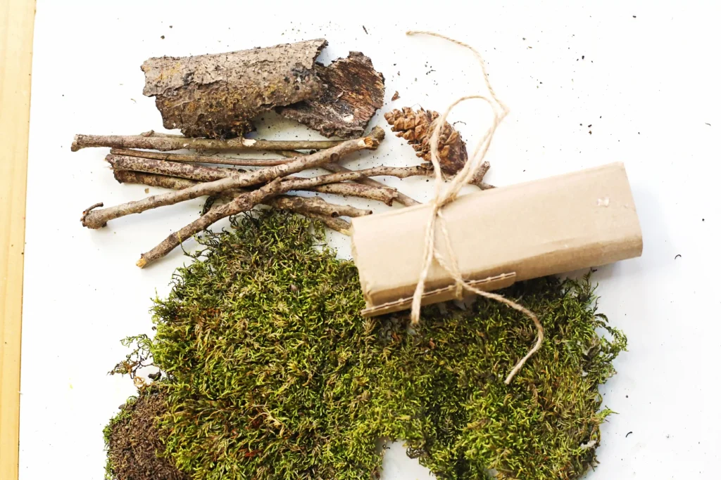 supplies for the bug hotel in a jar: moss, small branches, bark pieces, a pine cone, and a cardboard tube tied with twine on a white surface