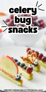 celery bug snacks with peanut butter and various fruits and veggies to look like bugs