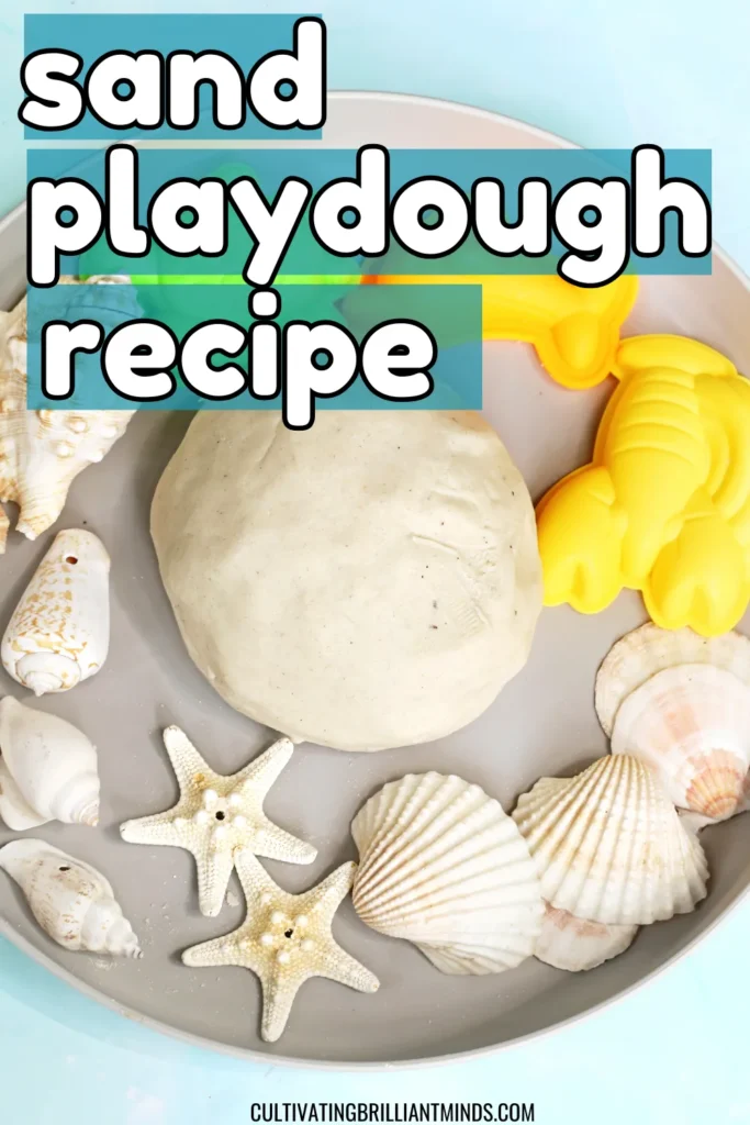 Plate featuring assorted seashells and a smooth beige stone, plus bright silicone cookie cutters in green turtle and yellow lobster on a pale blue background.